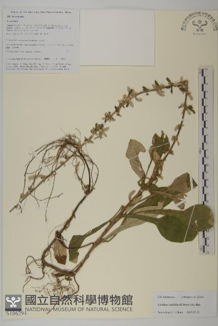 台灣鬼督郵藏品圖，第1張