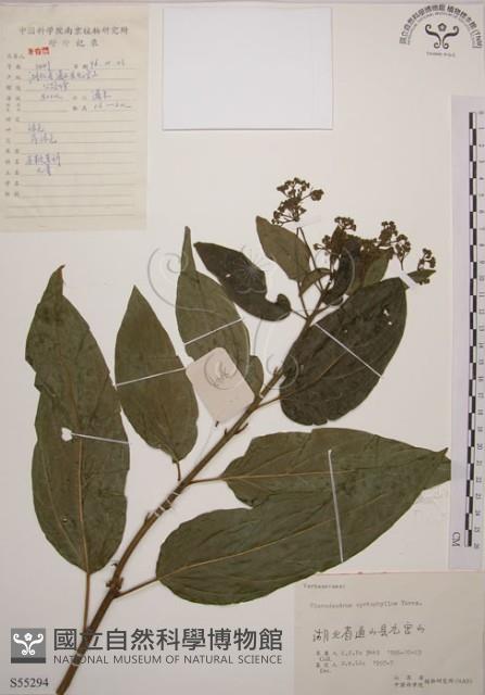 大青藏品圖，第1張