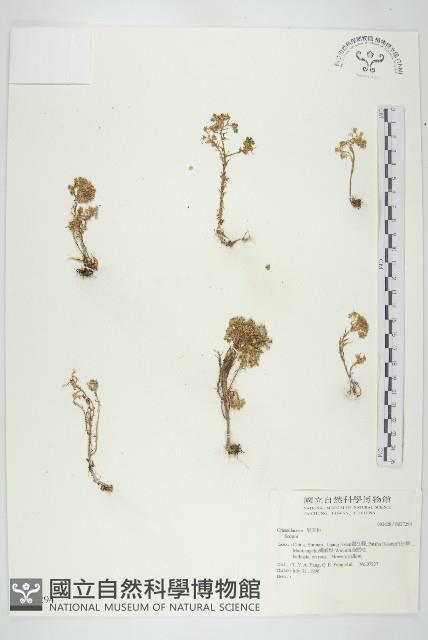 登錄號:S037294藏品圖，第1張