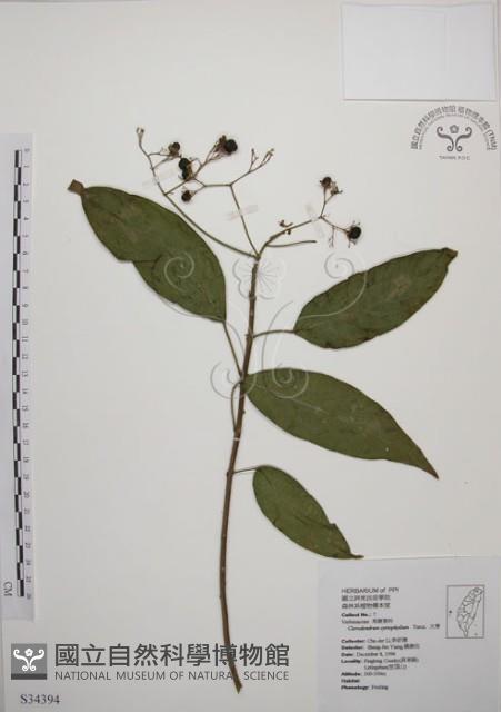 大青藏品圖，第1張