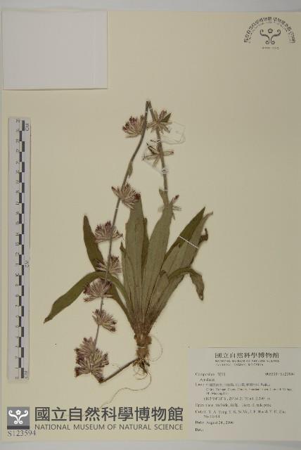 登錄號:S123594藏品圖，第1張