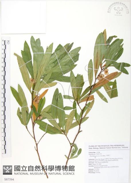 車桑子藏品圖，第1張