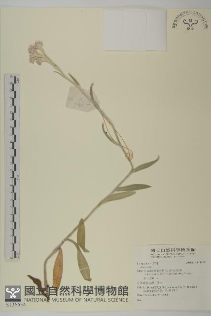 登錄號:S136634藏品圖，第1張