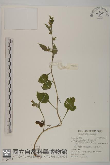 細川氏天名精藏品圖，第1張