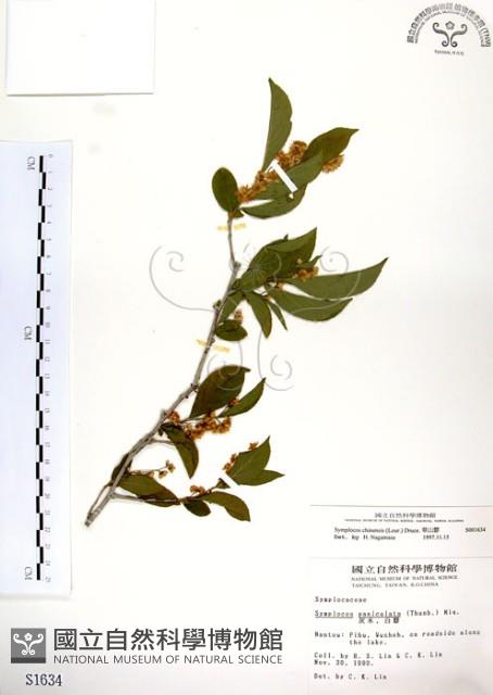 灰木藏品圖，第1張