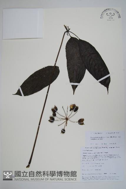 登錄號:S105634藏品圖，第1張