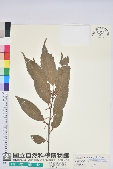 登錄號:S165634藏品圖，第1張