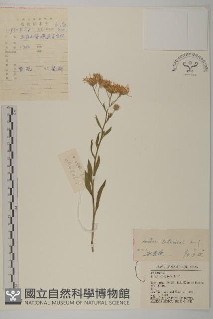 Accession Number:S035734 Collection Image, Figure 1, Total 3 Figures