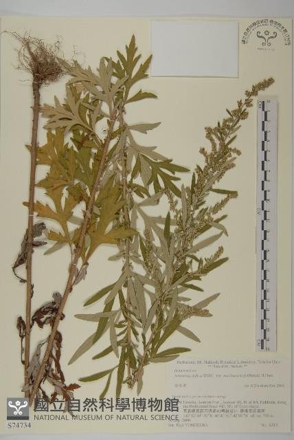 登錄號:S074734藏品圖，第1張