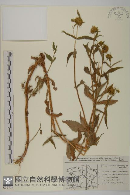 登錄號:S077734藏品圖，第1張