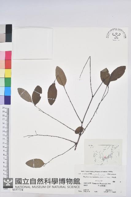 登錄號:S152234藏品圖，第1張
