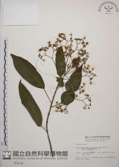 大青藏品圖，第1張