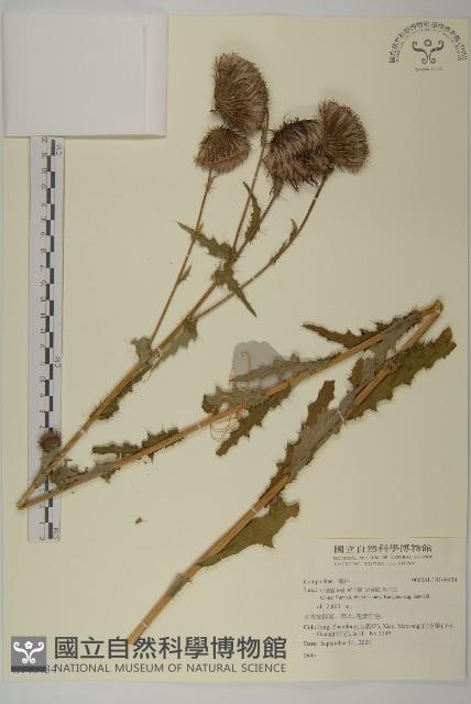 登錄號:S140434藏品圖，第1張