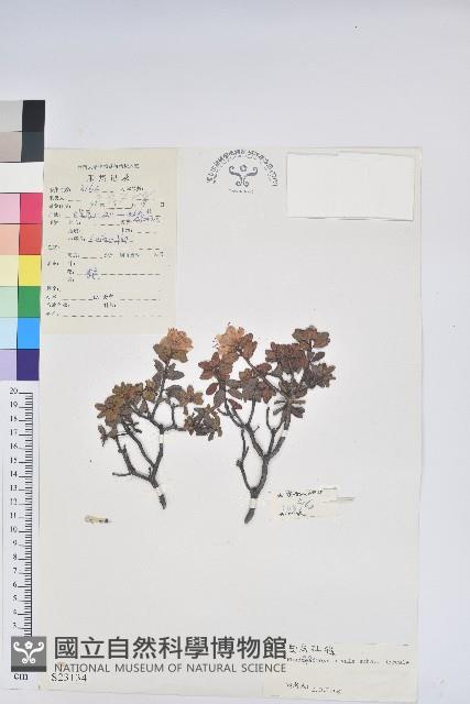 登錄號:S023134藏品圖，第1張