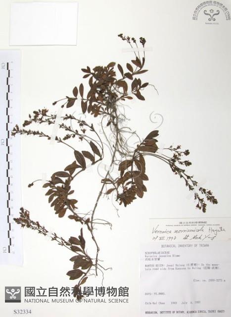 玉山水苦賈藏品圖，第1張