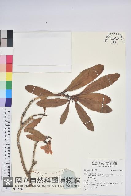 登錄號:S136834藏品圖，第1張