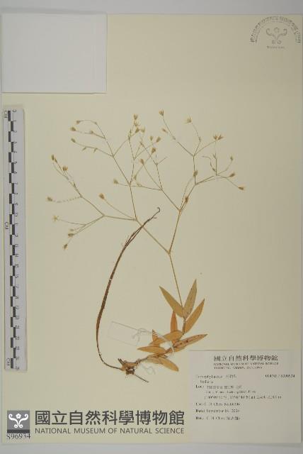 登錄號:S096934藏品圖，第1張