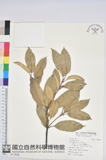 登錄號:S115934藏品圖，第1張