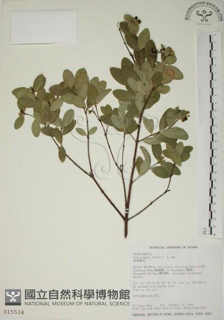 南嶺蕘花藏品圖，第1張