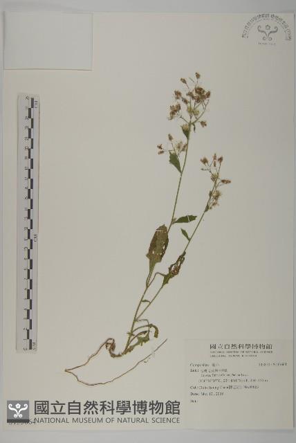 登錄號:S133664藏品圖，第1張