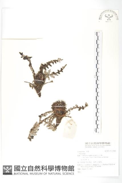 登錄號:S137664藏品圖，第1張