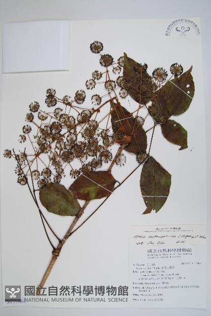 登錄號:S117064藏品圖，第1張