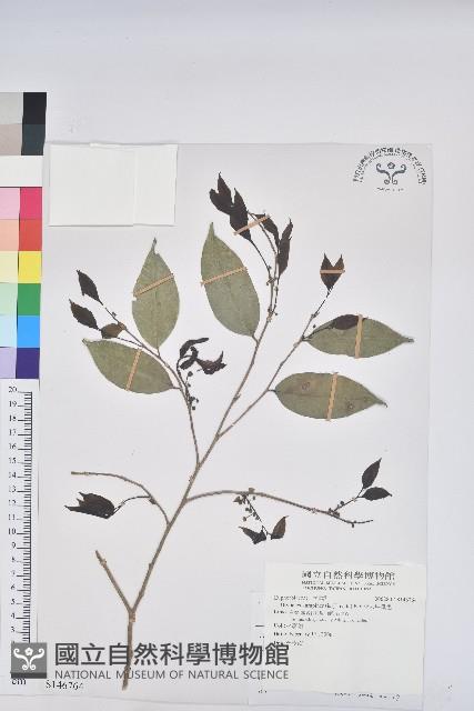 交力坪鐵色藏品圖，第1張