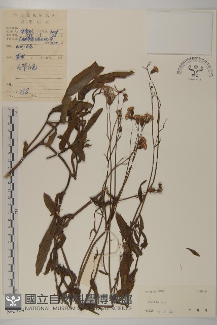 登錄號:S042464藏品圖，第1張