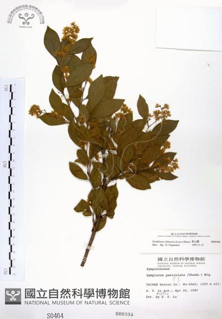 灰木藏品圖，第1張