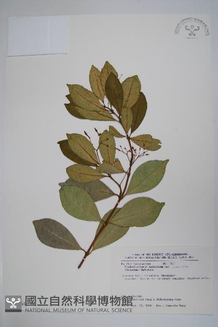 登錄號:S035464藏品圖，第1張