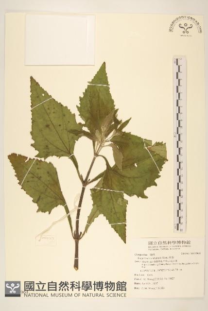 豨簽藏品圖，第1張