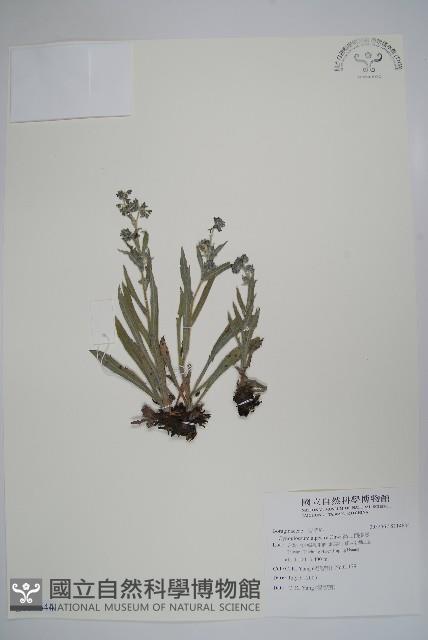 高山倒提壺藏品圖，第1張