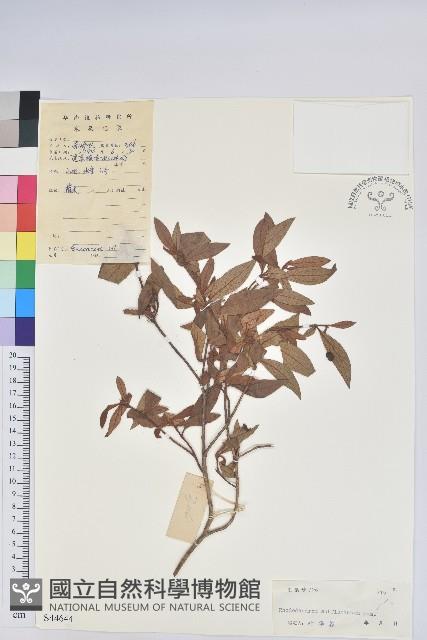 登錄號:S044644藏品圖，第1張