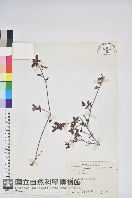 登錄號:S073644藏品圖，第1張