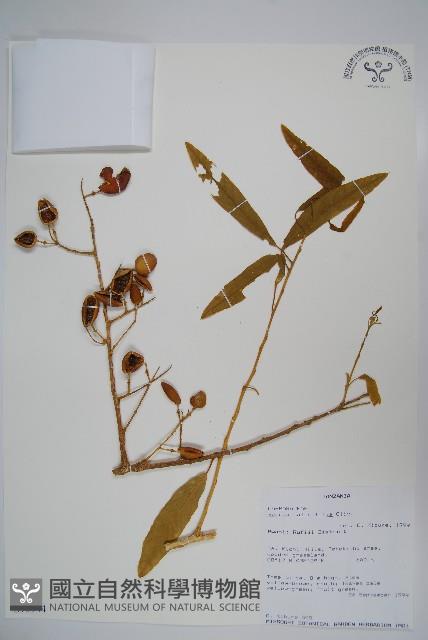 登錄號:S096044藏品圖，第1張