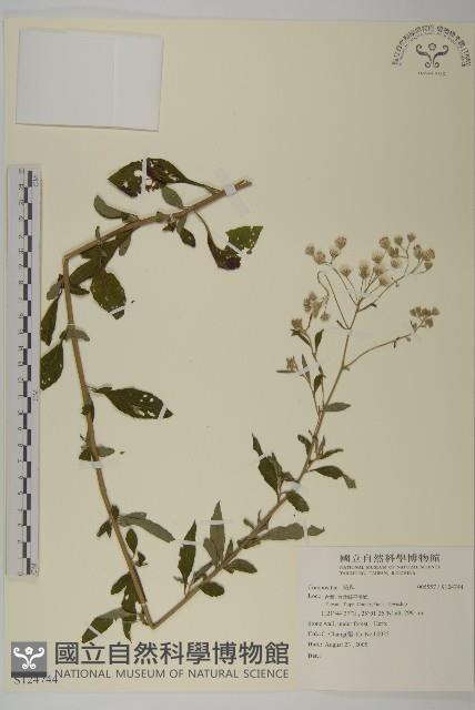 登錄號:S124744藏品圖，第1張