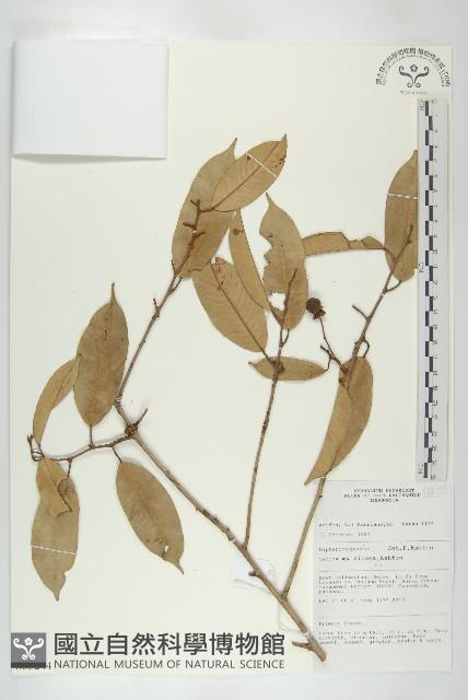 登錄號:S055244藏品圖，第1張