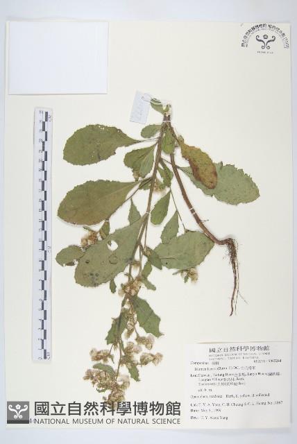 生毛將軍藏品圖，第1張