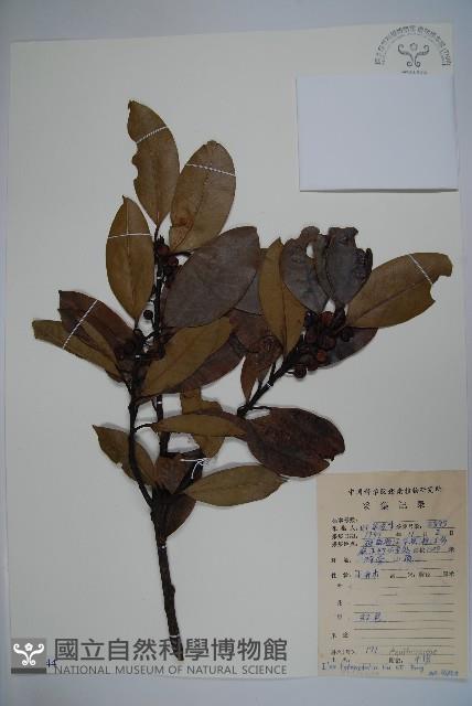 登錄號:S087244藏品圖，第1張