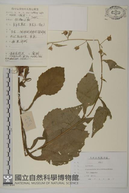 登錄號:S107444藏品圖，第1張