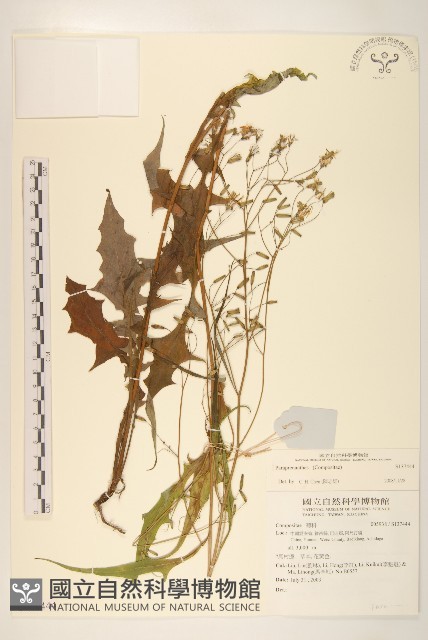 登錄號:S137444藏品圖，第1張