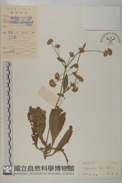 Accession Number:S033144 Collection Image, Figure 1, Total 3 Figures