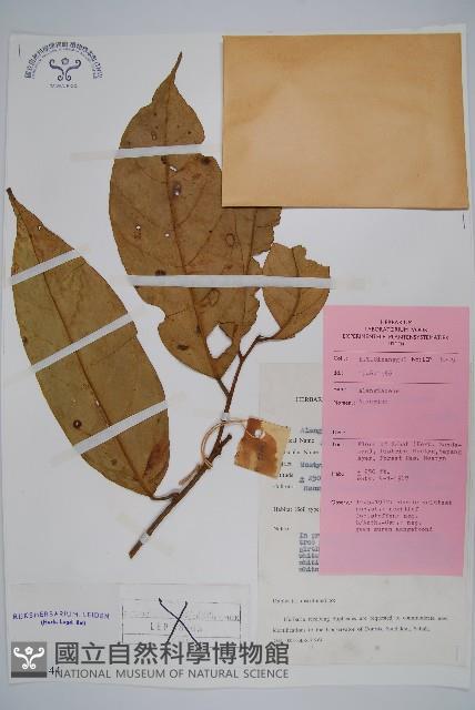 登錄號:S047144藏品圖，第1張