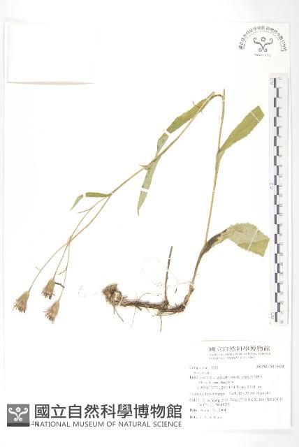 登錄號:S116844藏品圖，第1張