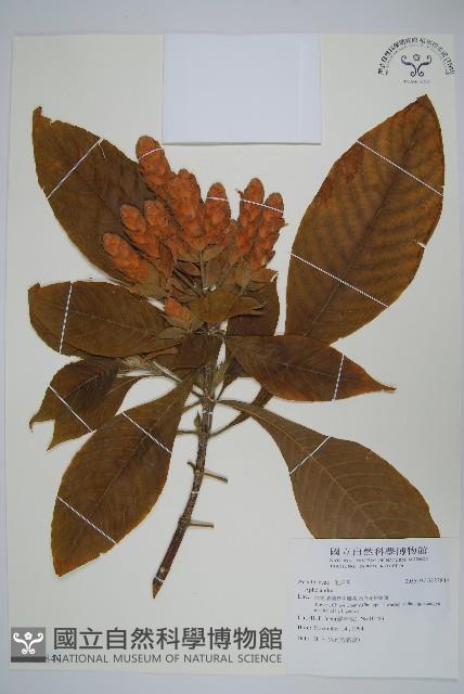 登錄號:S123844藏品圖，第1張