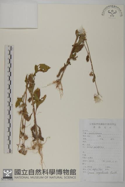 登錄號:S117944藏品圖，第1張