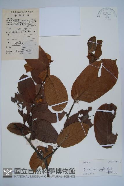 登錄號:S102674藏品圖，第1張