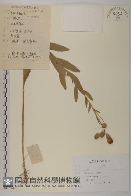 登錄號:S107674藏品圖，第1張