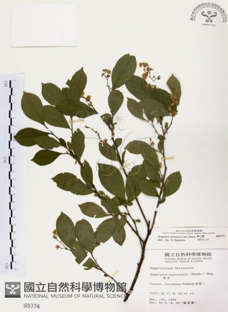 灰木藏品圖，第1張