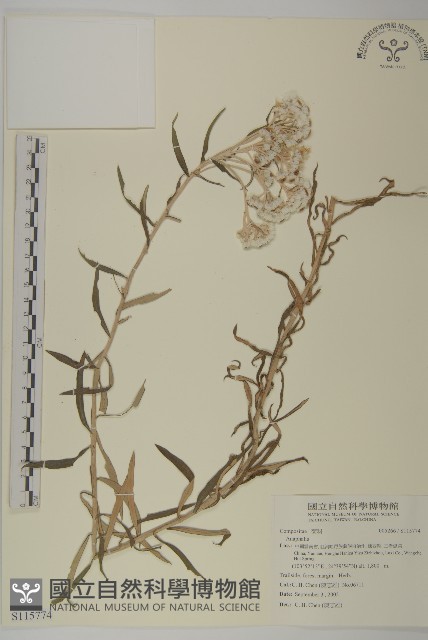 登錄號:S115774藏品圖，第1張